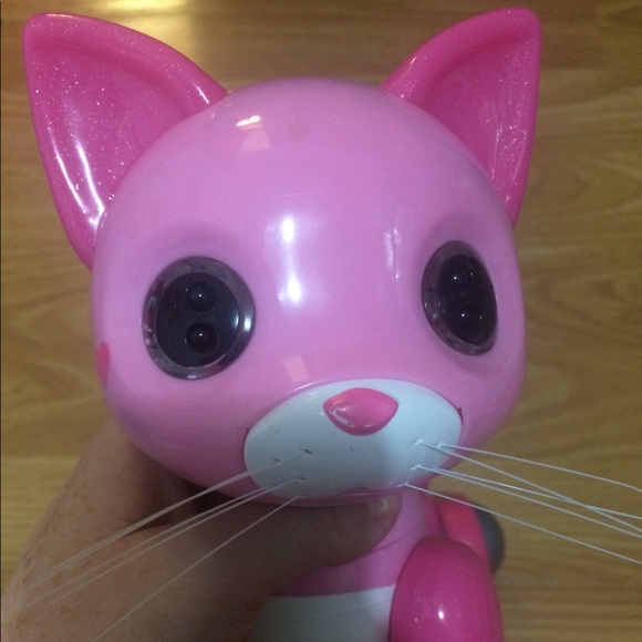 zoomie Toys Limited Edition Pink Kitty Zoomie Poshmark